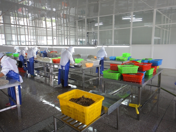 生產(chǎn)車間-001